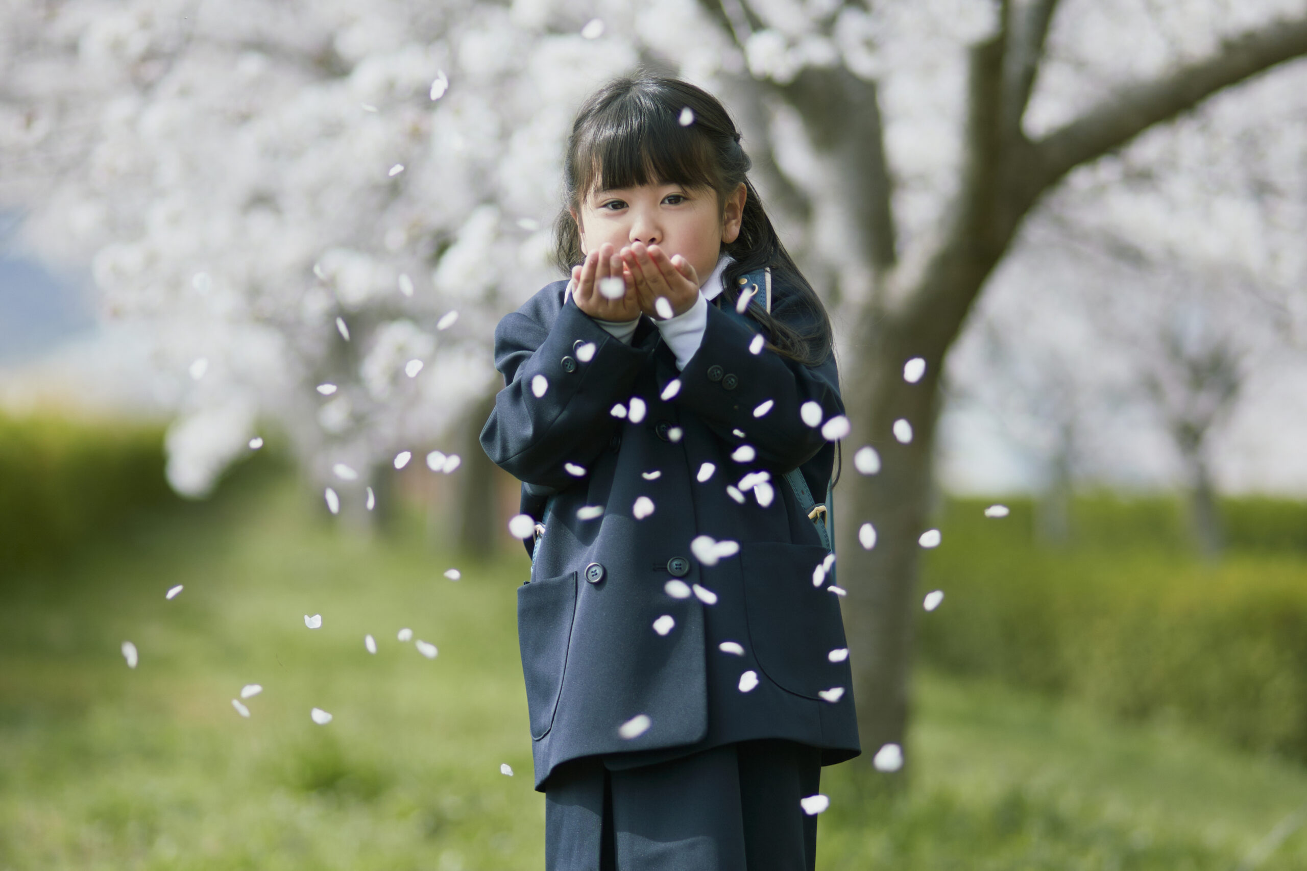 トップ写真